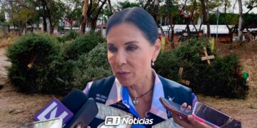 ¿Aún tienes el pino navideño? Así puedes desecharlo correctamente