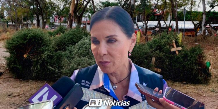 ¿Aún tienes el pino navideño? Así puedes desecharlo correctamente