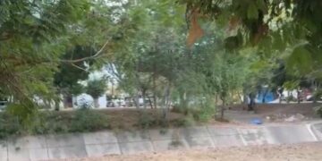 Localizan a mujer asesinada en la colonia Miguel Hidalgo, en Culiacán