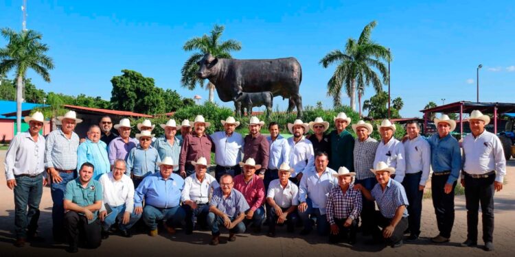 Asociaciones Ganaderas de Sinaloa elegirán nuevos líderes para el 2026