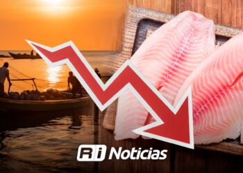 Venta de Tilapia se desploma hasta un 90% al norte de Sinaloa