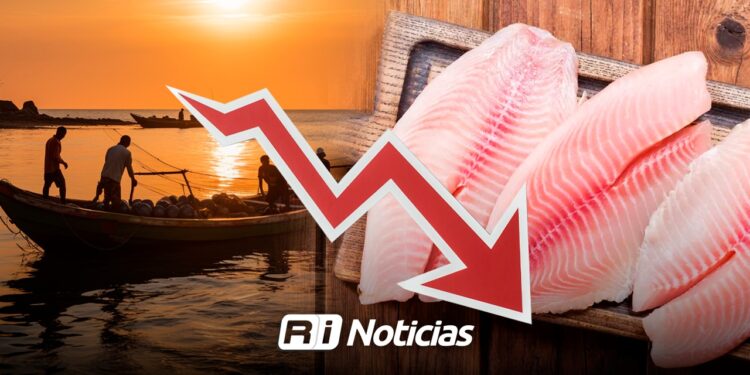 Venta de Tilapia se desploma hasta un 90% al norte de Sinaloa
