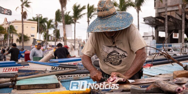 Pese a bajas capturas, repuntan ventas de pescado en Playa Norte, en Mazatlán