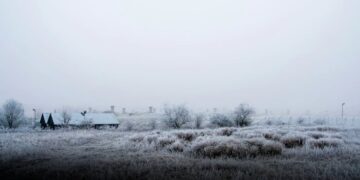 Sierra de Sinaloa registra temperaturas bajo cero este 15 de Enero