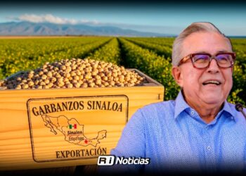 Sinaloa proyecta comercializar 60 mil toneladas de garbanzo en la Expo Gulfood 2026 de Dubái