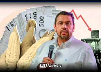 Gobierno de Sinaloa gestiona apoyo federal por bajos precios de maíz