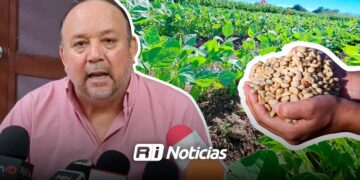 Productores de frijol en Sinaloa esperan precios de 30 mil pesos por tonelada