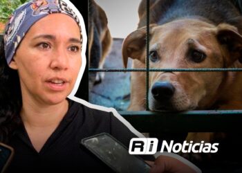 Sobrepoblación y maltrato animal, son temas bajo atención: Ecología