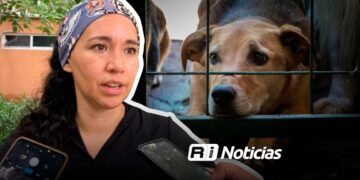 Sobrepoblación y maltrato animal, son temas bajo atención: Ecología