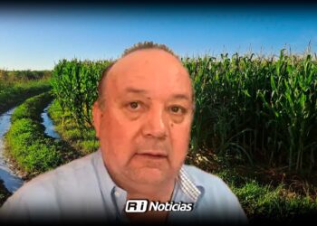 Altos costos y falta de liquidez frenan el permiso de siembra en Sinaloa: Confederación Nacional Campesina