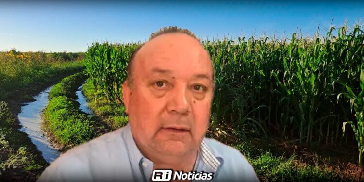 Altos costos y falta de liquidez frenan el permiso de siembra en Sinaloa: Confederación Nacional Campesina