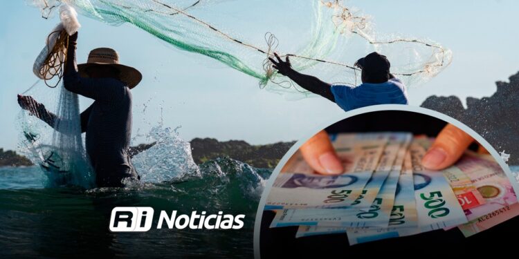 Entérate: Requisitos y dónde se entrega la solicitud para recibir el apoyo a pescadores 2026