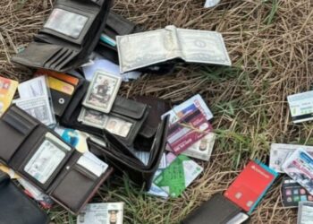 Localizan decenas de carteras con credenciales y tarjetas bancarias al sur de Mazatlán