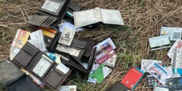 Localizan decenas de carteras con credenciales y tarjetas bancarias al sur de Mazatlán