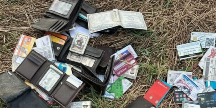 Localizan decenas de carteras con credenciales y tarjetas bancarias al sur de Mazatlán