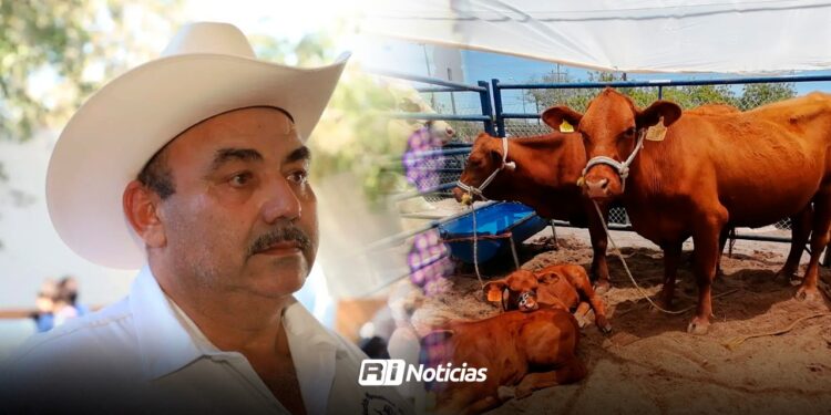Asociación Ganadera de Mazatlán ratificará mañana sábado a Toño Lizárraga como su líder