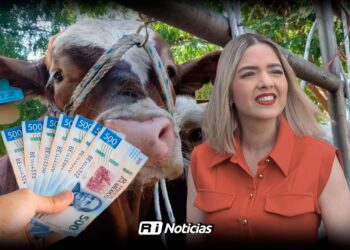 Alcaldesa aborda apoyos al sector ganadero tras reuniones federales