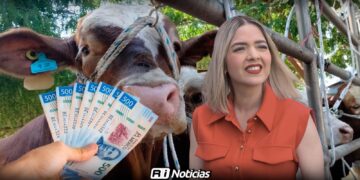 Alcaldesa aborda apoyos al sector ganadero tras reuniones federales