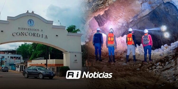 Vizsla Silver suspende operaciones tras desaparición de diez colaboradores en Concordia