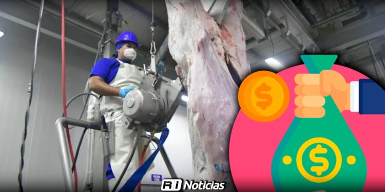 ¿Elefante blanco? Cuestionan financiamiento y operatividad del Rastro TIF