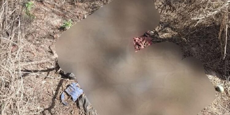 Encuentran osamenta bajo el puente de Villa Unión