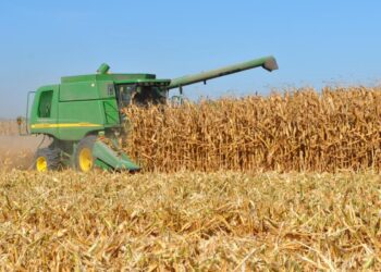 Campo sinaloense en riesgo por caída de precios internacionales