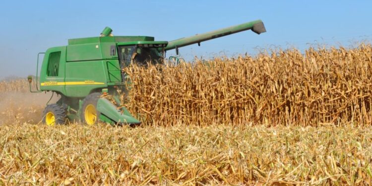 Campo sinaloense en riesgo por caída de precios internacionales