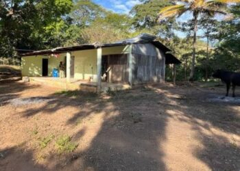 ¡Fuerte golpe al Cártel de Sinaloa!, aseguran narcolaboratorio para producción de “Tusi” y metanfetaminas