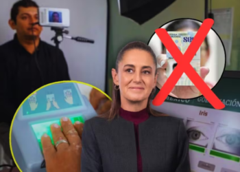SEP y Sheinbaum eliminaron la cédula profesional como identificación oficial en 2026 y ya no será válida para trámites, mientras la CURP Biométrica será obligatoria en todo México