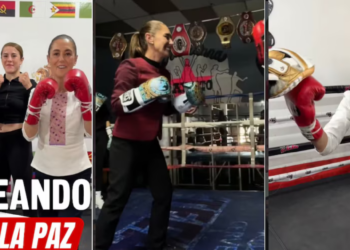 Boxeando por la Paz: ¿Cómo funcionará el nuevo programa de Sheinbaum para peleadores mexicanos?
