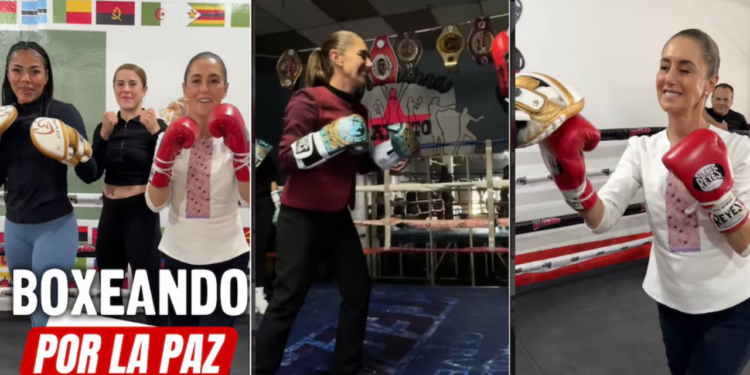 Boxeando por la Paz: ¿Cómo funcionará el nuevo programa de Sheinbaum para peleadores mexicanos?