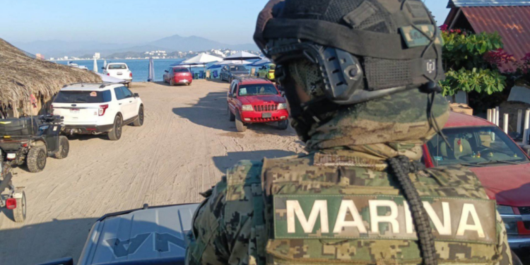 Semar asegura armas y municiones en Badiraguato, Sinaloa