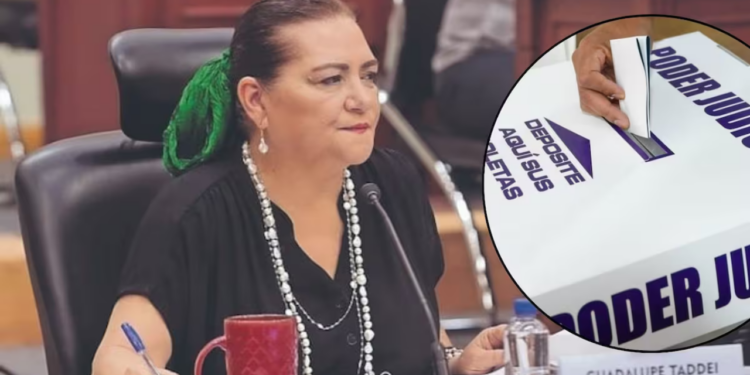 Tras impresión de boletas sin usar, culpan en INE a Guadalupe Taddei por la pérdida de 672 millones de pesos