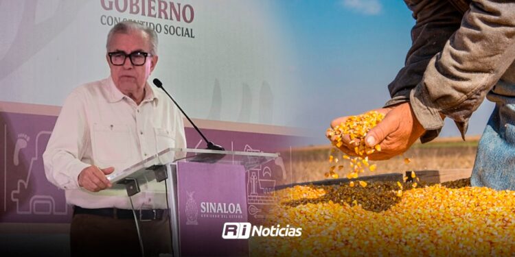 “Nuestra preocupación es la comercialización de granos”: Rocha Moya