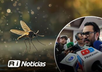 Lluvias provocan proliferación masiva de moscos en Culiacán: Gámez Mendívil