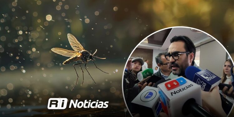Lluvias provocan proliferación masiva de moscos en Culiacán: Gámez Mendívil