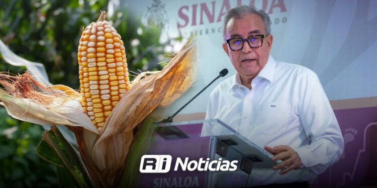 Sin fecha para visita presidencial; Rocha viajará a tratar tema maíz