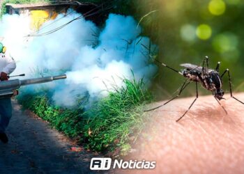 Salud reporta 157 casos de dengue y refuerza fumigación en Sinaloa