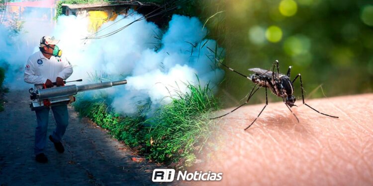 Salud reporta 157 casos de dengue y refuerza fumigación en Sinaloa