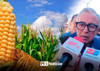 Presidenta podría visitar Sinaloa a finales de mes: Rocha Moya