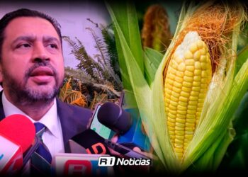 Reglas de operación darán certidumbre a productores de maíz