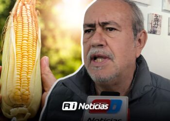 Agricultor pide frenar importaciones mientras haya maíz nacional