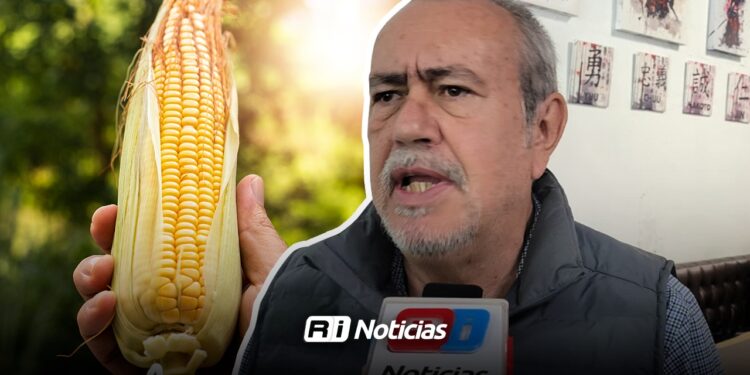 Agricultor pide frenar importaciones mientras haya maíz nacional