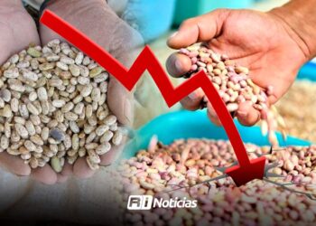 Productores de frijol meten “freno de mano” y paran ventas por caída de precios