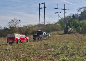 Localizan a joven ejecutado en una parcela cercana a El Recodo, en Mazatlán