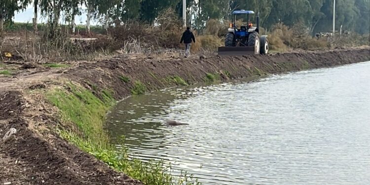 Encuentran cuerpo flotando cerca de campo agrícola en Costa Rica, Culiacán