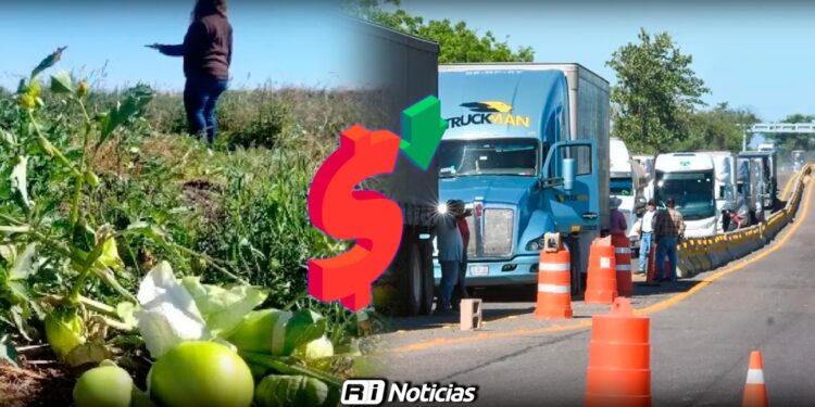 Bloqueos viales pondrían en riesgo el envío de hortalizas sinaloenses, advierten productores