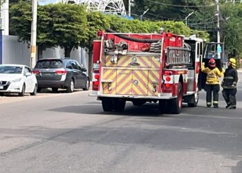 Estudiantes de la facultad de medicina de la UAS resultan con picaduras de abejas