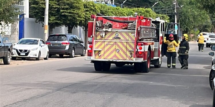 Estudiantes de la facultad de medicina de la UAS resultan con picaduras de abejas