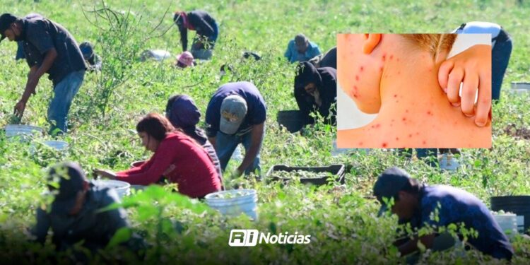 Jornaleros del sur de México ocupan el 90% de casos de sarampión de Sinaloa